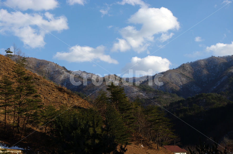 하늘,산,구름,풍경,겨울,겨울,계절,winter,season,자연,풍경,nature,landscape,tree,나무,plant,식물,fir,전나무,outdoors,옥외