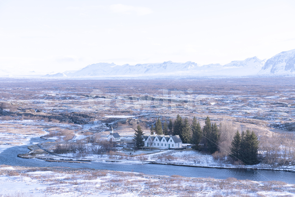 tree,나무,plant,식물,공원,눈,snow,아이슬란드,iceland,river,강,산,겨울,winter,설산,겨울,계절,winter,season,자연,풍경,nature,landscape