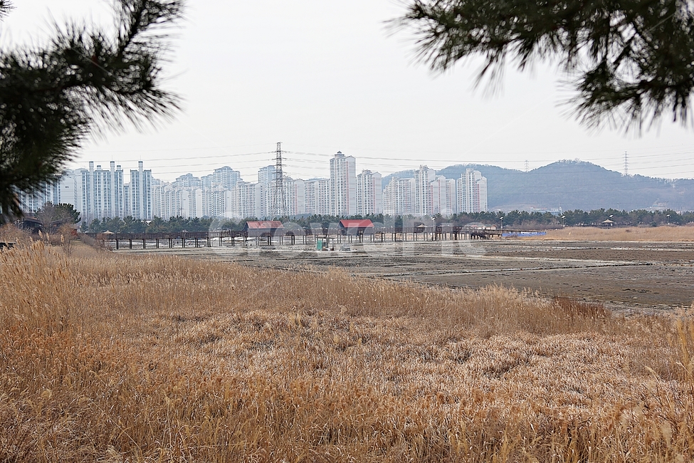 시흥갯골생태공원,염전,창고,소금창고,건물,건축물,식물,자연,풍경,겨울