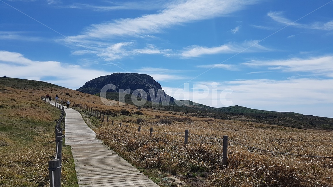 제주도,한라산,영실코스,남벽,나무데크길