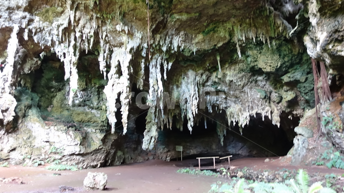 jungle,rainforest,정글,열대우림,숲,forest,green,초록,동굴,grotto,cave,오르텐스,오르텐스동굴,뉴칼레도니아