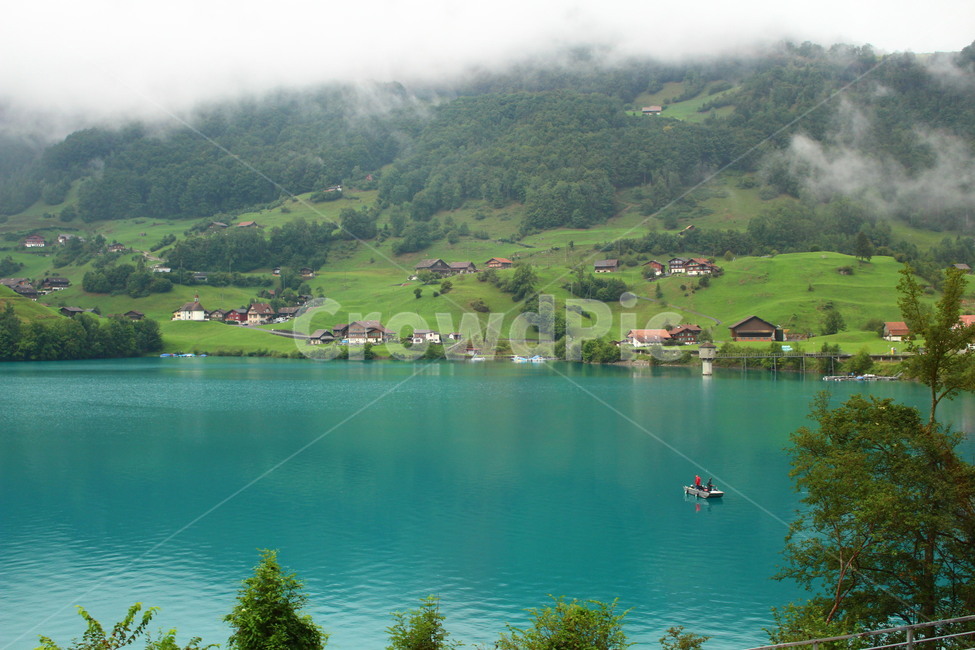 nature,자연,호수,lake,물,스위스,흐림,안개,강,푸른,초록
