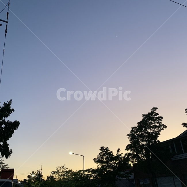 태풍,하늘,노을,가로등,나무,해질녘,따분,고요,야경,밤,풍경,nightscape,night,landscape