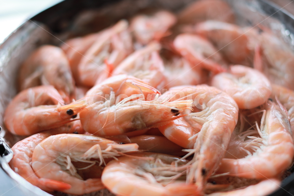 새우,대하,소금구이,새우소금구이,음식,해산물,음식,식재료,요리,food,cook,meal,dishes,food reserves,수산물,해산물,fishery products,seafood