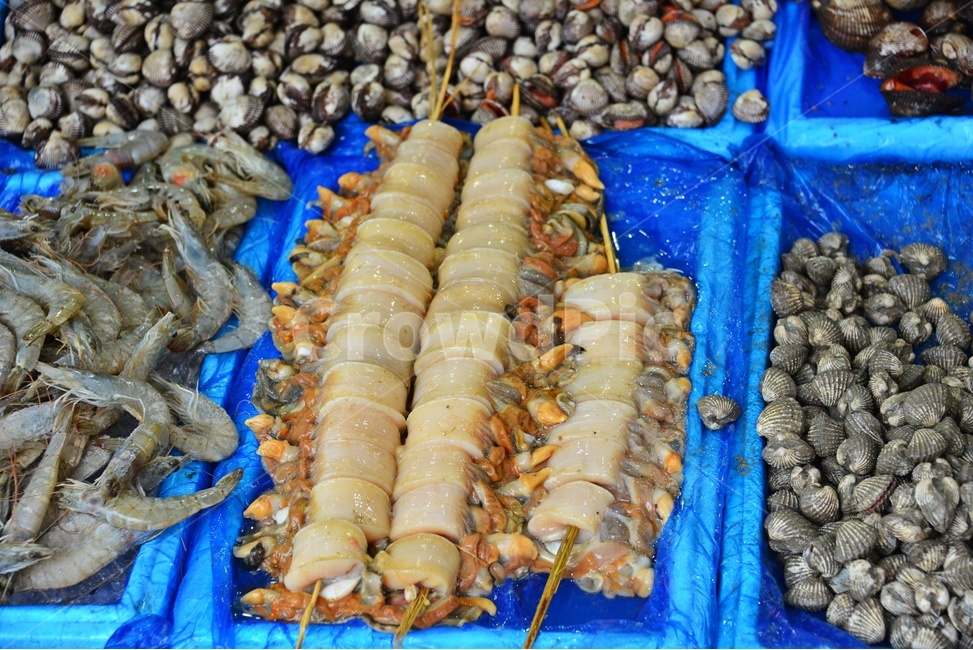 랍스터,lobster,market,시장,sealife,해양생물,seafood,해물,food,animal,동물,헤산물,수산물,식재료,음식,수산시장,오징어,게,시장,마트,마켓,market,mart,market place