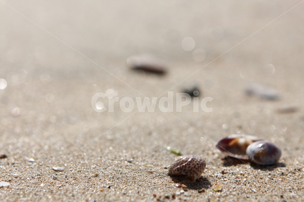 모래사장,바닷가,모래해변,바다,조개껍데기,해변,바다,beach,sea,감성,sensible,feeling,휴식,힐링,rest,relaxation,healing