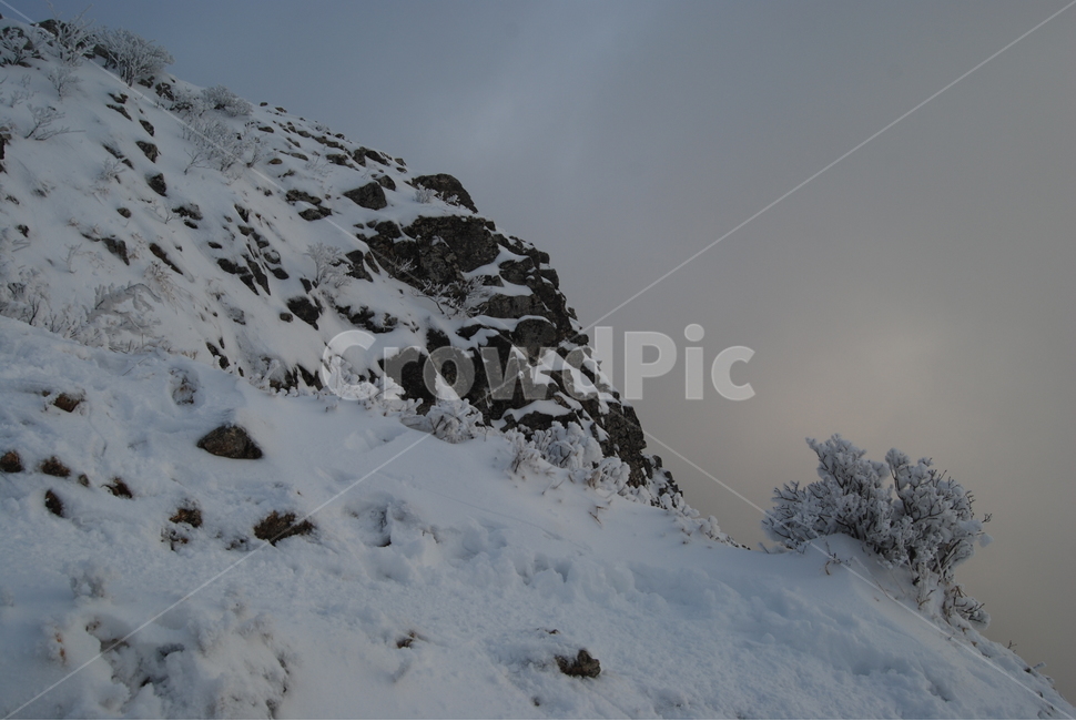겨울,산,눈,공원,탐방로,겨울,계절,winter,season,자연,풍경,nature,landscape,outdoors,옥외,mountain,snow