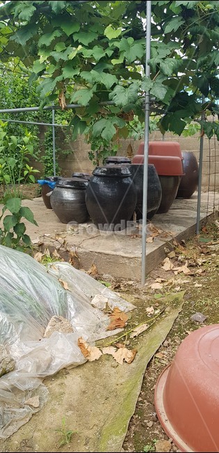 시골마당,항아리,고추장항아리,전통한옥,가옥,옹기,질그릇,된장,고추장,간장,한국전통,한국문화