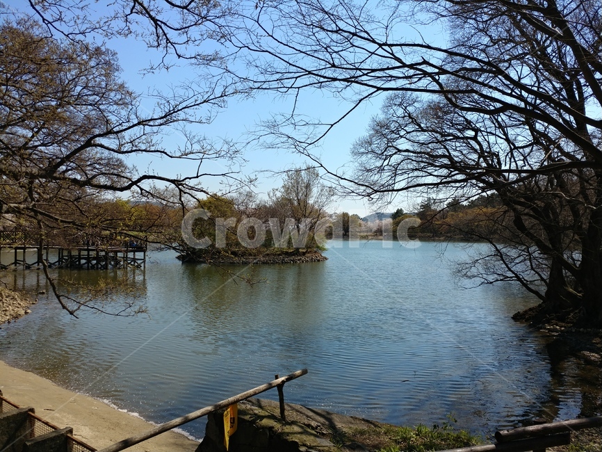 호수,생태공원,봄날,spring,lake,진해