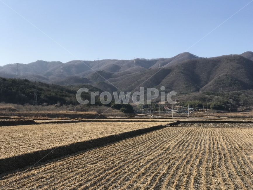 공허,논,겨울,산,들판,시골
