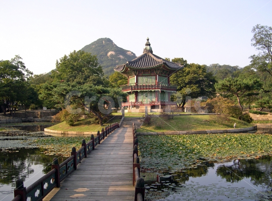 경복궁,향원정,연못,다리,전통건축,건축,전통,한국,korea,궁,궁궐,한국전통,한옥,랜드마크,landmark,tourist attraction,한국전통,한국문화,korean traditional,korean culture