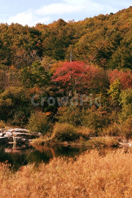 가을,풍경,자연,단풍,여행,단풍놀이,쓸쓸함,아쉬움,떠나는가을,나무,시골,가을,계절,fall,autumn,season,자연,풍경,nature,landscape,한국자연풍경,한국자연경관,korea nature landscape,water,물,plant,식물,tree,outdoors,옥외