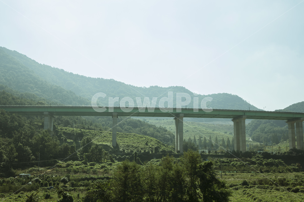 여수,철도,안개,초록,자연,자연,풍경,nature,landscape,bridge,다리,building,건물