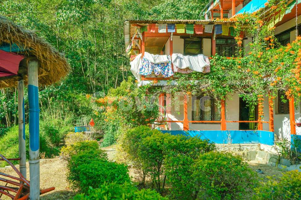 네팔,정원,풀,자연,garden,마을,village,arbour,outdoors,옥외,정자,house,집,여름,nature,꽃,색깔,색상,색채,색감,color sense,color sensitivity,feeling of color,건축물,건물외관,exterior,building,structure,architecture,construction