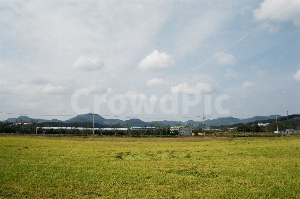 하늘,구름,뭉게구름,벼,노밭,산,비닐하우스,안성,자연,풍경,nature,landscape,한국자연풍경,한국자연경관,korea nature landscape,시골,마을,country,rural,town,field,들,outdoors,옥외,grassland,목초지,farm,농장,농촌