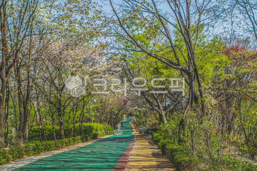 Street lamp,trail,streetlamp,mountain,Gaeunsan Park,road,Gaeunsan Mountain,railing,Handrail,human,park,nature,tree,flower,seoul,outdoors,plant,road name,walk
