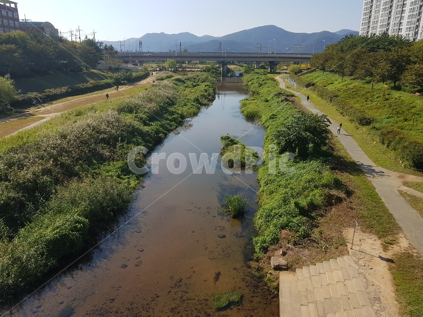 하천,대천천,봄,동네하천,화명동대천천