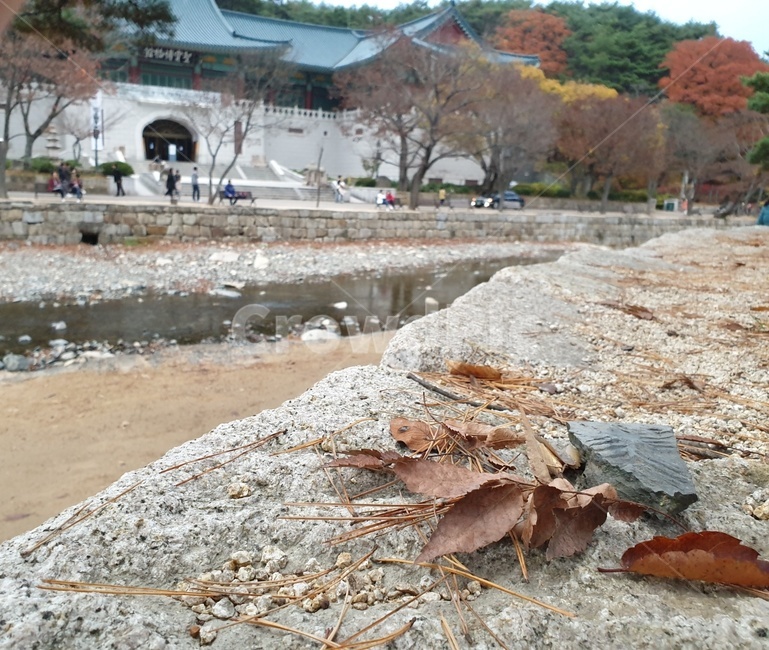 가을,풍경,배경,낙엽,운치,자연,풍경,nature,landscape,rubble,파편,slate,슬레이트,flagstone,판석