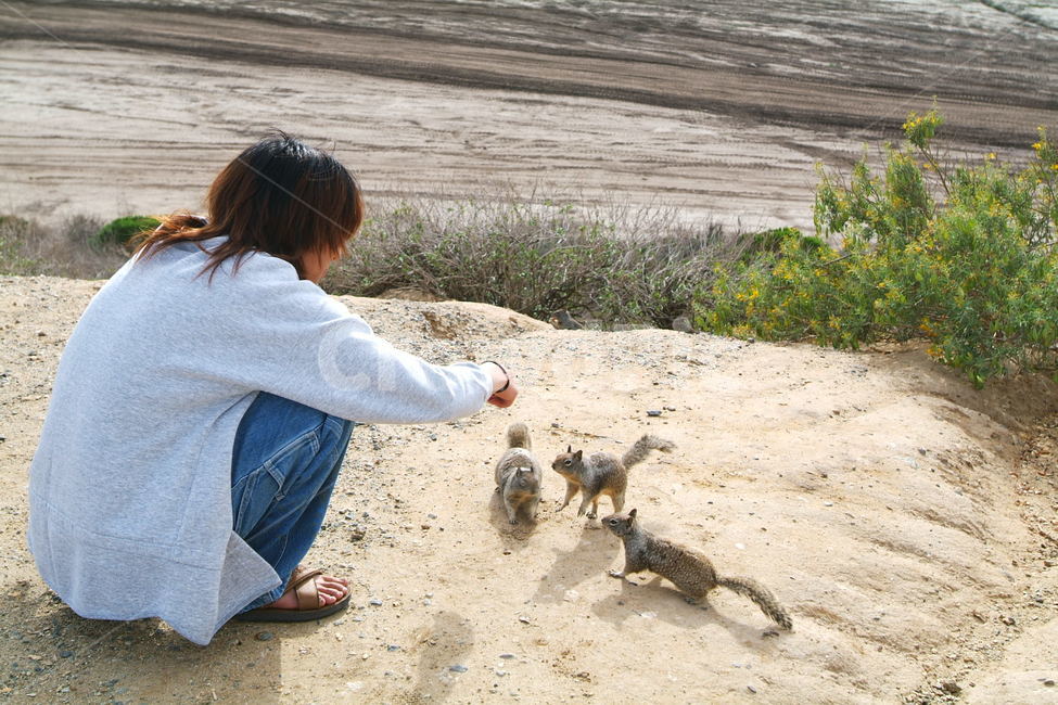 squirrel,fun,cute,다람쥐,땅다람쥐,신기,재미,신남,동물,animal,포유류,mammal,사람,인물,인간,human,person,남성,남자,man,male
