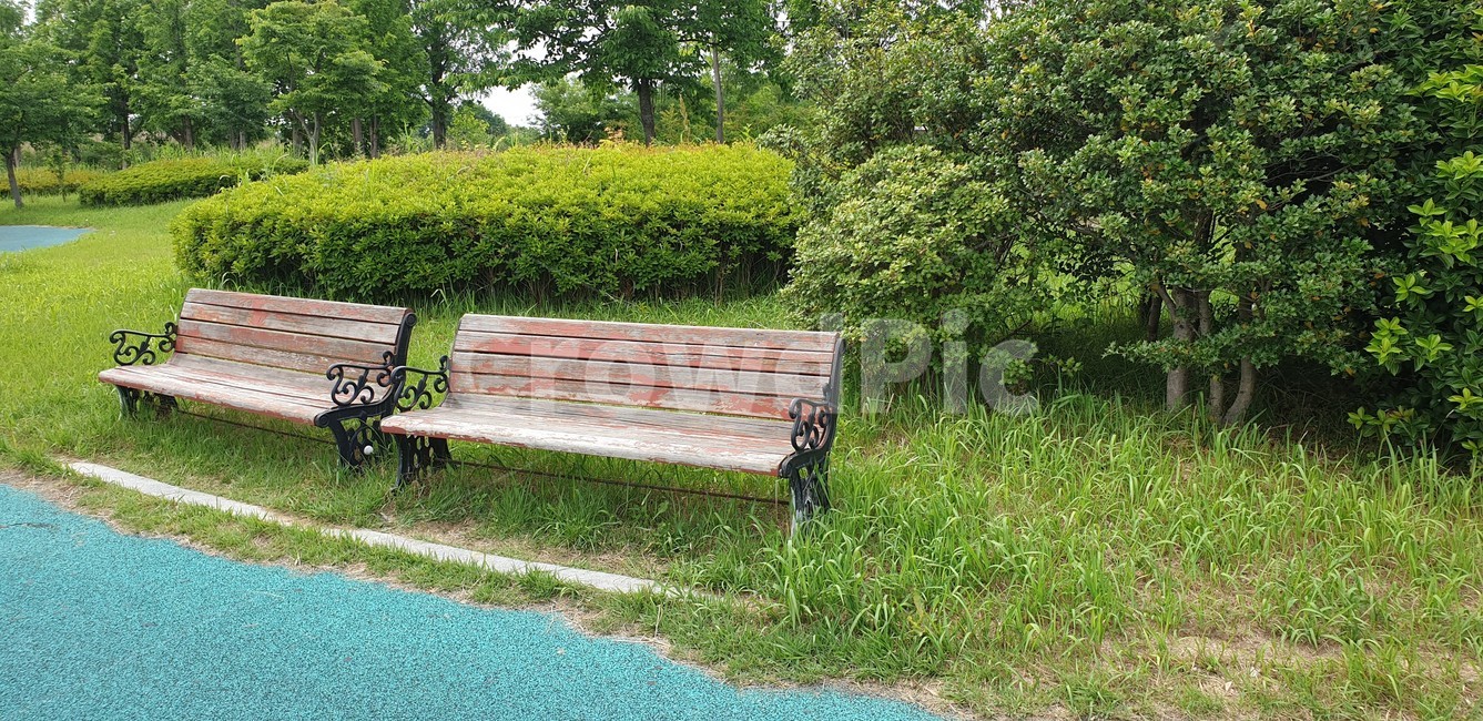 벤치,기다림,공원,연못,조형물,자연,나무,푸르름,휴식,힐링,정원,풍경,야외,산책,긴의자,나무의자