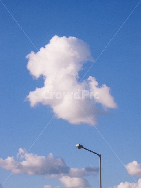구름,하늘,강아지,흰구름,가로등,푸들,poodle,날아가는강아지,자연,풍경,nature,landscape,outdoors,옥외,weather,날씨