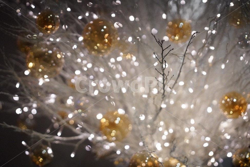 보케,크리스마스,분위기,배경,트리,메리크리스마스,성탄절,merry christmas