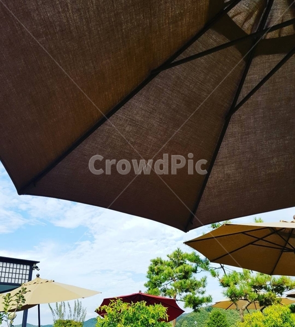 파라솔,하늘,파란하늘,parasol,sky