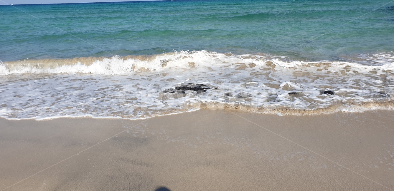 해변,파도,바다,모래사장,sea,beach,해변,바다,beach,sea