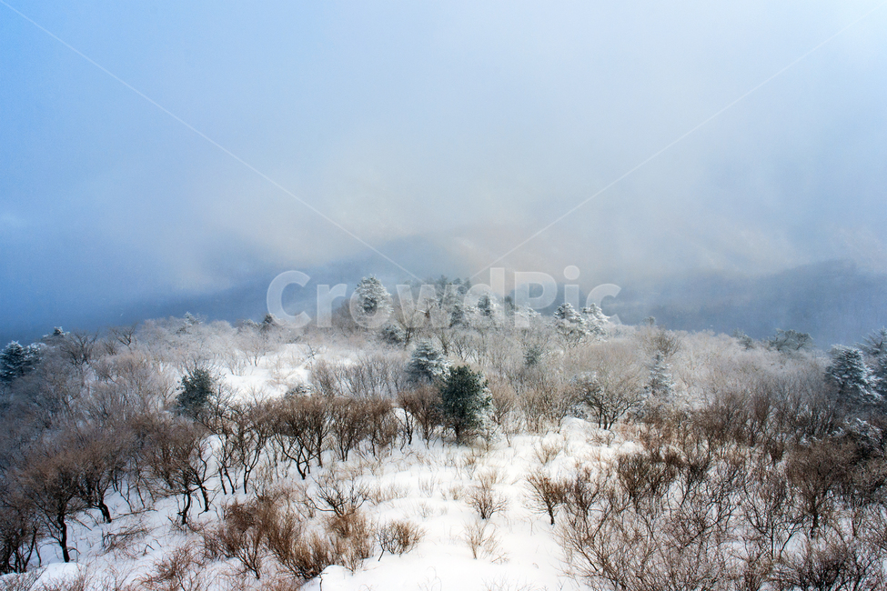 겨울,풍경,설원,설경,덕유산,눈,폭설,자연,경치,산,산맥,mountainrange,mountain,landscape,outdoors,scenery,nature,겨울,계절,winter,season,자연,풍경,nature,landscape