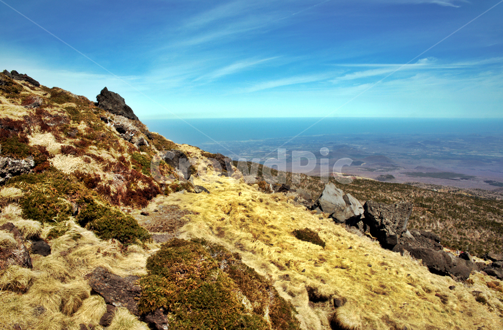 rock,blue sky,Yeongsan,Mt Hanlla,jeju island,Seogwipo City,rise,Hallasan National Park,volcanic stone
