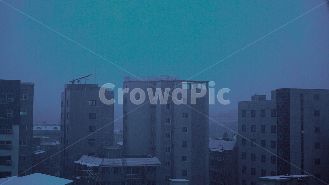눈,첫눈,겨울,도시,새벽,겨울,계절,winter,season,도시,풍경,city,landscape,한국도시풍경,한국도시경관,korea cityscape,색깔,색상,색채,색감,color sense,color sensitivity,feeling of color,nature,자연