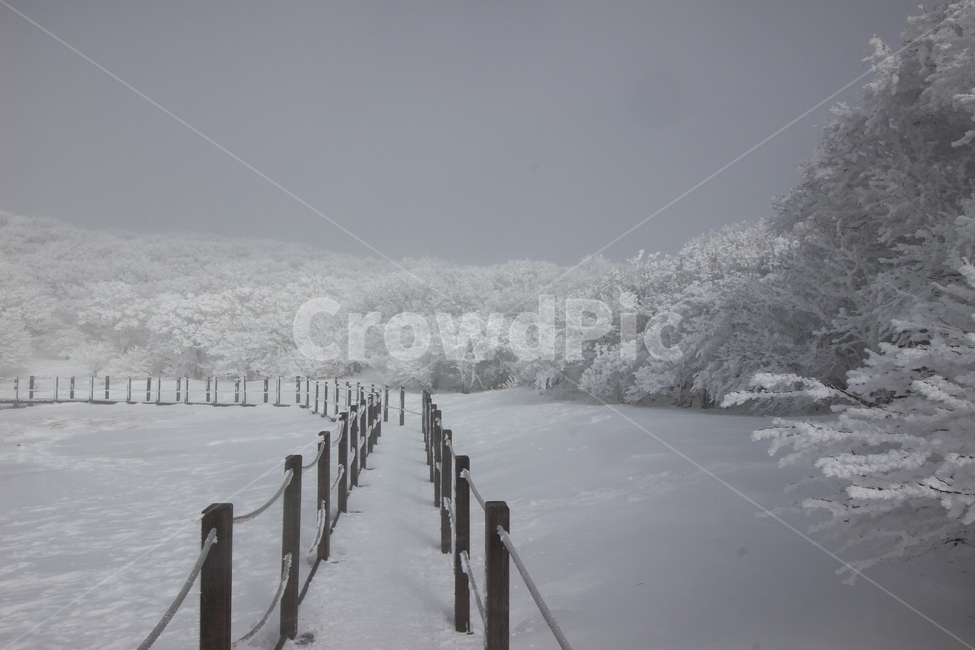 한라산,사라오름,성판악코스,눈꽃,눈산행,HallasanMountain,겨울,계절,winter,season,자연,풍경,nature,landscape,outdoors,옥외,snow,눈