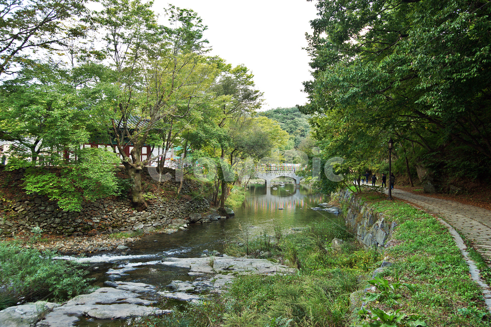 마곡사,솔바람길,마곡천,공주,태화산,개천,명상,힐링,자연,풍경,nature,landscape,outdoors,옥외,water,물