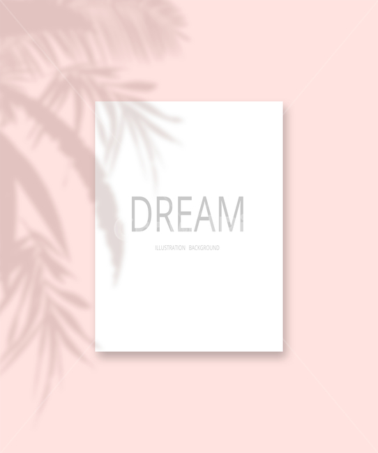 브로슈어,장식,테두리,청첩장,웨딩카드,표지,초대장,카드,배경,웨딩,팜플렛,invitation,꽃,floral,flower,기념일,프레임,데코레이션,데코,background백그라운드,파스텔,그림자,트로피컬,여름,메모지,shadow,frame,비치는,핑크,pink,트로피칼