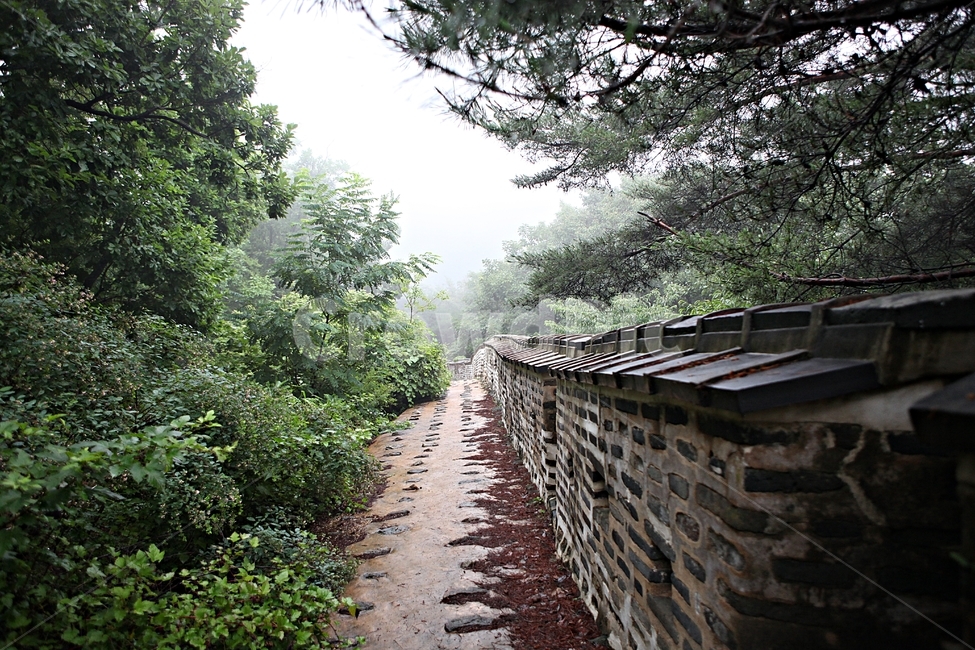 남한산성,성,성곽,둘레길,길,숲,숲길,안개,돌담,담