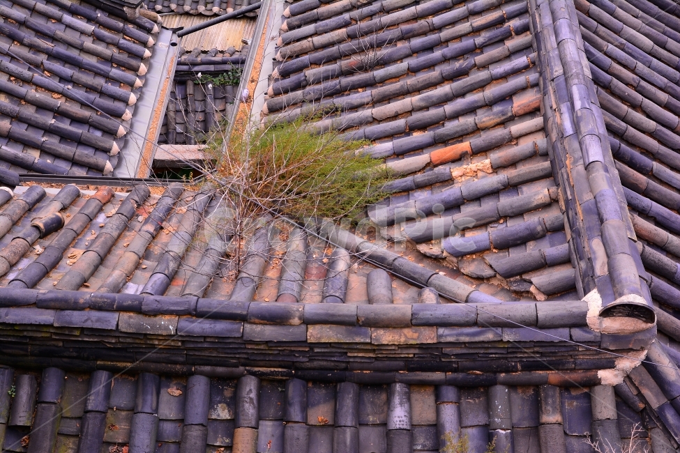 한옥,전통,북촌,하우스,기와집,서울,명소,관광지,투어,민속,보존,역사,HISTORY,HOUSE,SEOUL,TOUR,CULTURE,TRADITIONAL,KOREA,한국,가볼만한곳,담장,벽,처마,나무,우드,곡선,한국의미,아름다움,건축,장인,집,주거지,빈티지,올드,old,옛날,시간,세월,한국전통,한국문화,korean traditional,korean culture,건축물,건물외관,exterior,building,structure,architecture,construction