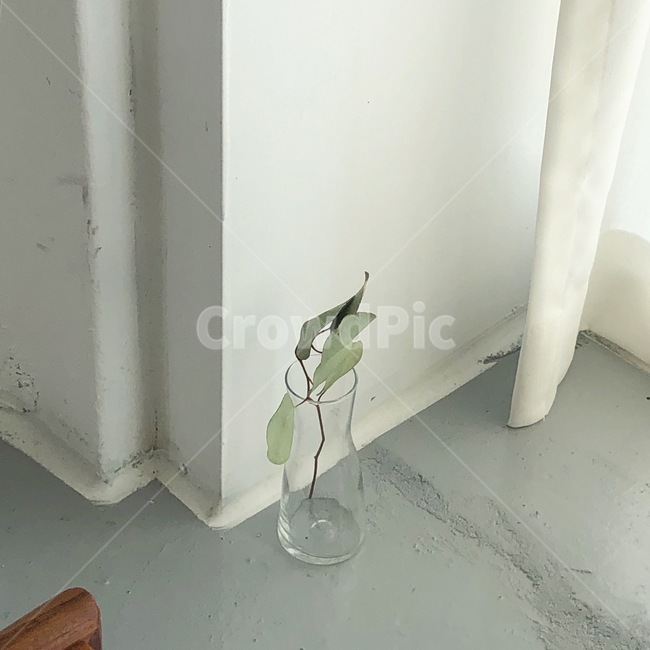 wood,인테리어,카페,감성,화분