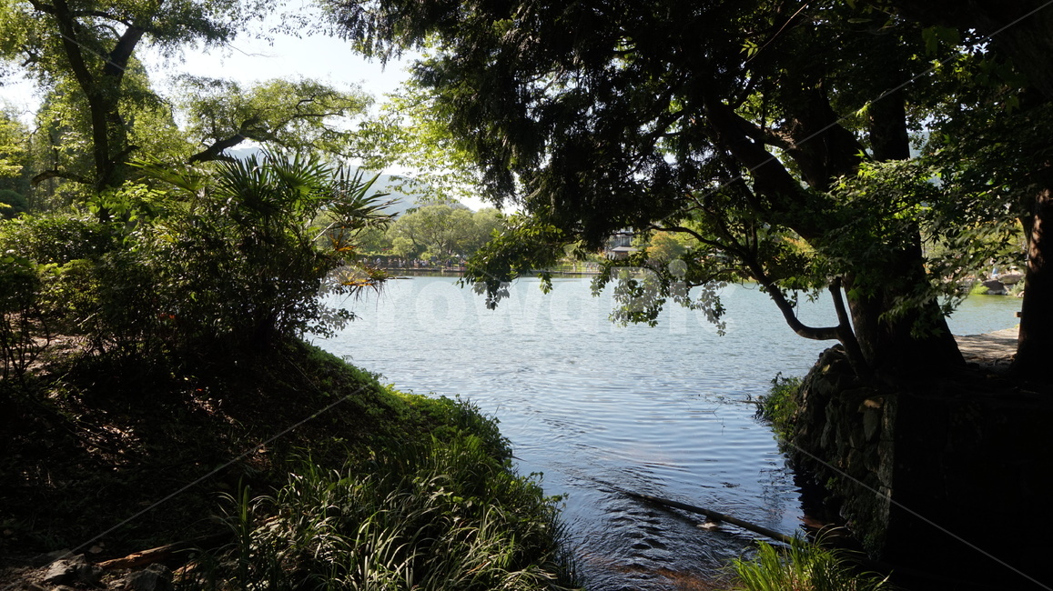 연못,자연,water,물,호수,가을,하늘,공원,nature,landscape,outdoors,옥외,lake,경관,그림자,아침,식물,pland,leaf,자연,풍경,nature,landscape