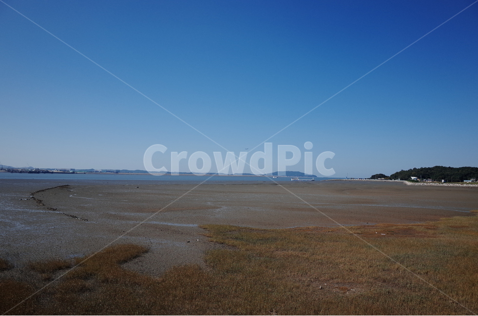하늘,바다,서해,갯벌,뻘,서해바다,자연,풍경,nature,landscape,해변,바다,beach,sea,ground,바닥,gravel,자갈,road,도로,dirt road,흙길