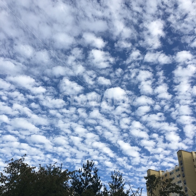 하늘,구름,특이한구름,자연,행복,포근함,화창한,sky,cloud,blue
