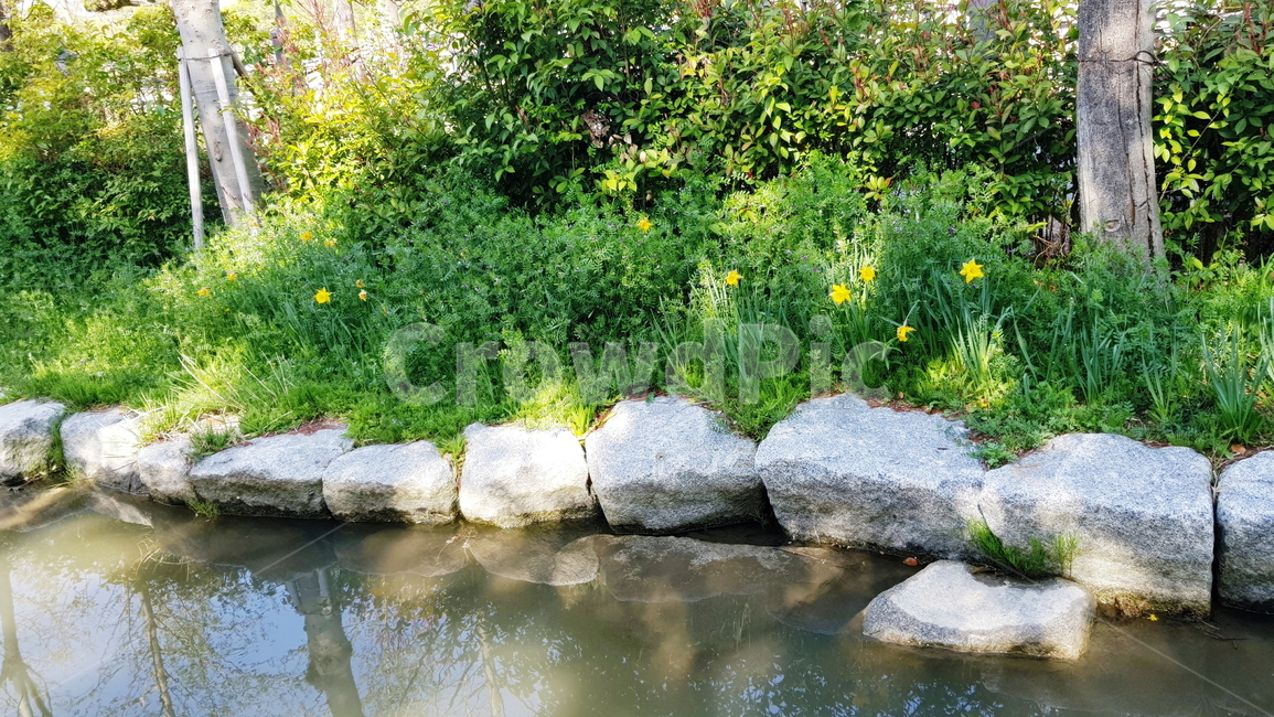 연못,정원,호수,풍경,자연,자연,풍경,nature,landscape,water,물,outdoors,옥외