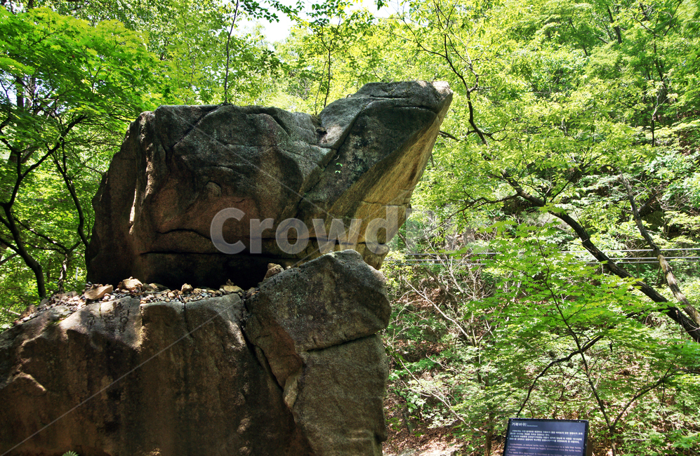 거북바위,전설,설화,청평사,오봉산,암석,풍수지리,춘천,자연,풍경,nature,landscape