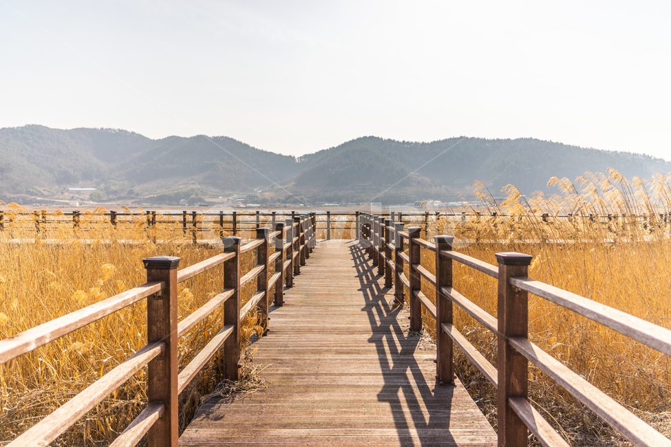 다리,하늘,억새,풀,자연,감성,산,가을,계절,fall,autumn,season,자연,풍경,nature,landscape,railing,난간,bridge,boardwalk,산책로,building,건물,water,물