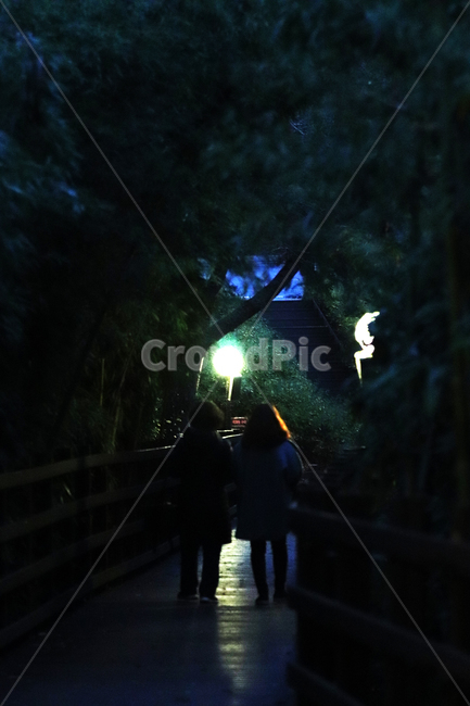 light,빛,human,인간,person,야경,밤,풍경,nightscape,night,landscape