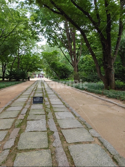 서울,관광지,종묘,숲,문화재