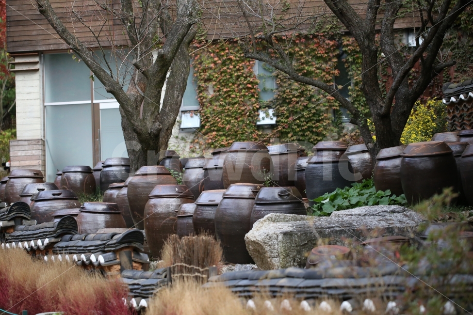한국,전통,항아리,장독대,가을,korea,tradition,autumn,한국전통,한국문화,korean traditional,korean culture