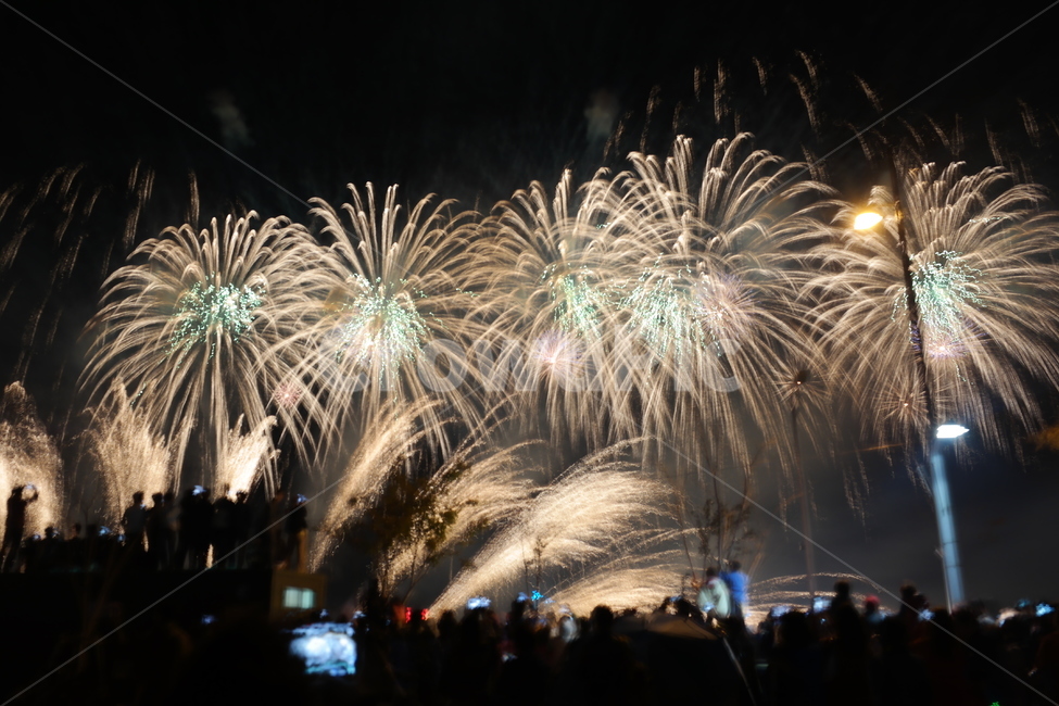 야경,불꽃놀이,빛,축제,불꽃,야경,밤,풍경,nightscape,night,landscape,축제,행사,festival,carnival,event,nature,자연,outdoors,옥외,fireworks
