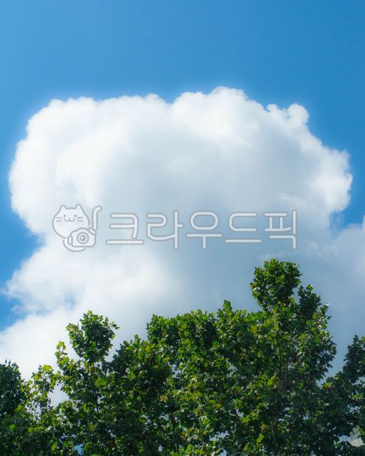 Cloud,summer,summer feeling,sky,cloud feeling,blue sky