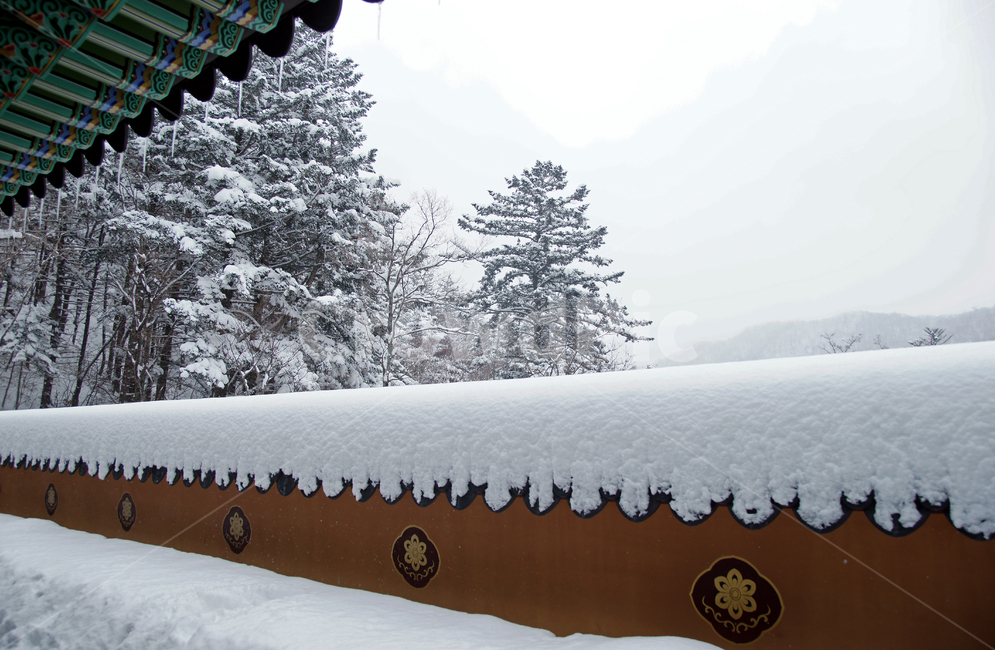 오대산,강원도,사찰,설경,암자,사자암,처마,겨울,계절,winter,season,한국전통,한국문화,korean traditional,korean culture
