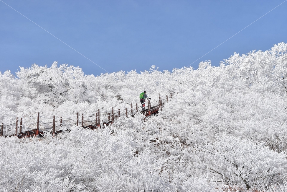 소백산,눈꽃풍경,상고대,겨울풍경,국립공원,겨울동화,눈풍경,파란하늘,100대명산,겨울명산,설경,서리꽃,영동,snow,landscape,겨울,계절,winter,season,자연,풍경,nature,landscape,사람,인물,인간,human,person,스포츠,레저,운동,sports,leisure,exercise,건강,헬스웨어,헬스케어,healthware,health care,outdoors,옥외,frost,서리,눈